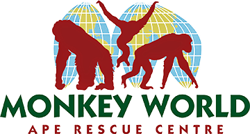 Monkey World