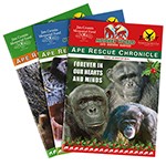 ARC PACK MIXED SELECTION OF BACK ISSUES